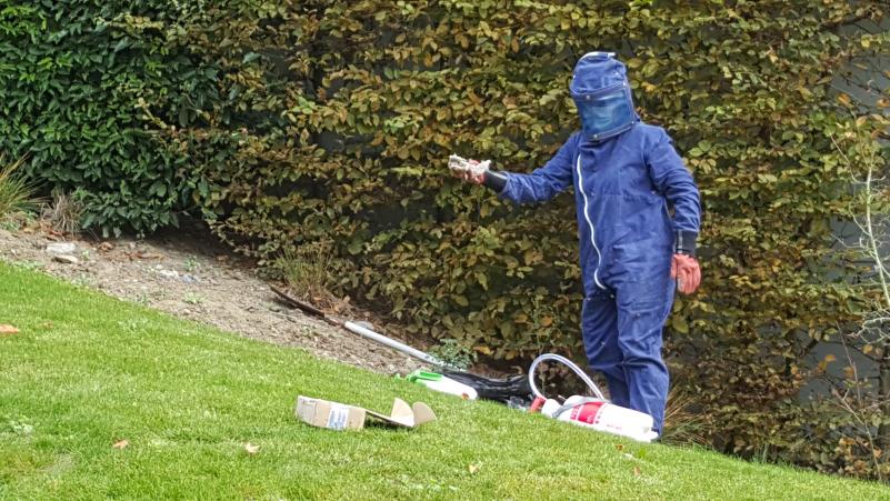 Destruction d'un nid de guêpes sous terre Hénin beaumont