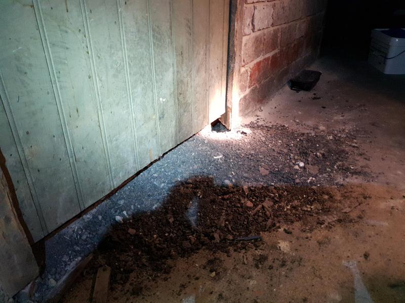 Dégâts occasionnés par les rats dans les caves d'un immeuble, Hénin-Beaumont